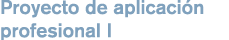Proyecto de aplicaci n profesional I