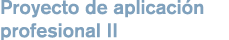 Proyecto de aplicaci n profesional II