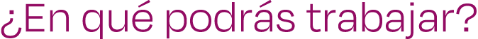   En qu  podr s trabajar 